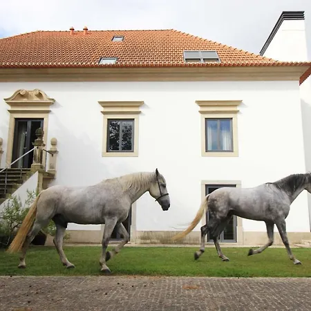 Quinta Da Aldeia De Vakantieboerderij Avanca